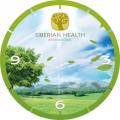 Настенные часы «Siberian Health»