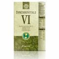 Doplnek stravy - SynchroVitals VI,  60 kapslí